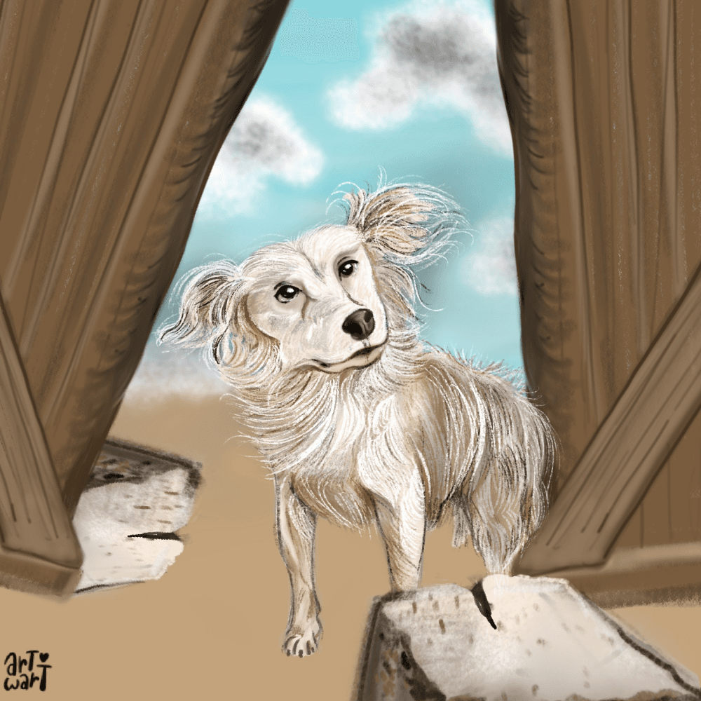 The Woof Sketches - 1