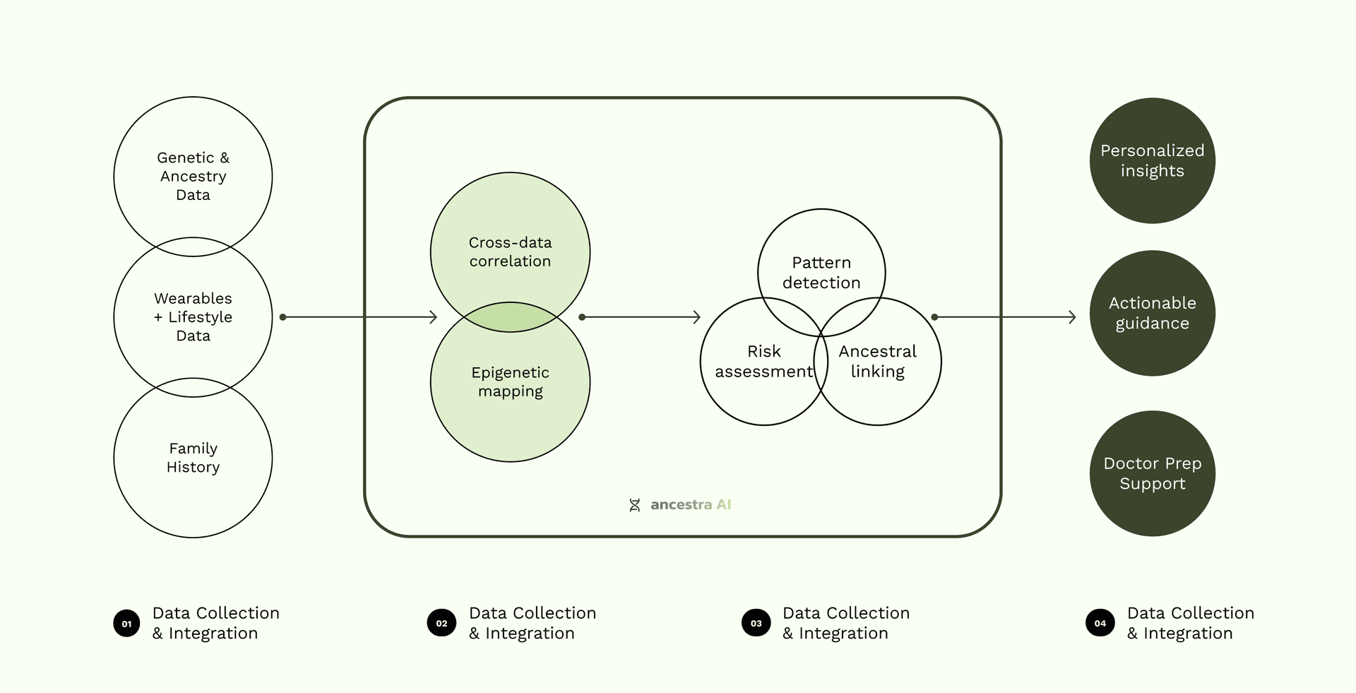 ancestra AI system architecture diagram showing input data (genetic, wearables, family history) flowing through cross-data correlation and epigenetic mapping to produce personalized insights, actionable guidance, and doctor prep support
